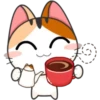 Funny Cats 20