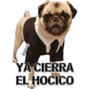 MIKE
YA CIERRA
EL HOCICO