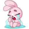Bunny Rosy 19