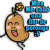Mira
Me salió
una
flor de
poronga
Gise E13