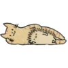 Hedgehogs 1 22