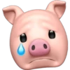 PigMoji 11