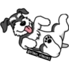 SCHNAUZER 8