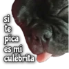 Quédate en casa 17
