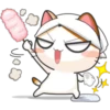 Funny Cats 21