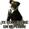 AMIN
¡TE CONVERTIRÉ
EN MI PERRA!