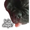 Quédate en casa 19