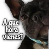 Quédate en casa 21