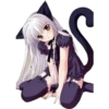 Meow 23