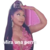 Mira una perra