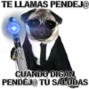 TE LLAMAS PENDEJ@
MIKE
CUANDO DIGAN
PENDĚJ@ TÚ SALUDAS