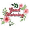 Good morning 13