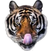 Tongues 24