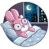 Bunny Rosy 21