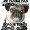 ¿DE CASUALIDAD
TE LLAMAS BORIS?
MIKE
PORQUE TIENES
CARA DE ANIMAL
