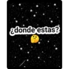 textos 12