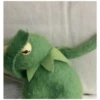Kermit the frog (pics) 3 20