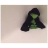 Kermit the frog (pics) 3 21