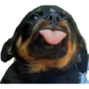 Tongues 25