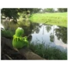 Kermit the frog (pics) 3 22