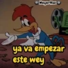 Pájaro-Loco 8