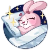 Bunny Rosy 23