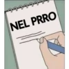 Libreta de diagnóstico 19