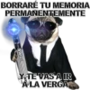 BORRARÉ TU MEMORIA
PERMANENTEMENTE
MIKE
TE VAS A IR
A LA VERGA