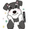 SCHNAUZER 13