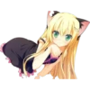 Meow 24