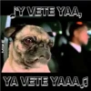 ΜΙΚΕ
JY VETE YAA,
YA VETE YAAAJ