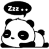 Panditas♡ 24