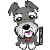 SCHNAUZER 14