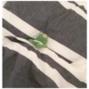 Kermit the frog (pics) 3 26