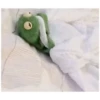 Kermit the frog (pics) 3 27