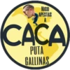 América chinga tu madre 13