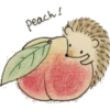 STICKERS ERIZOS 3 26