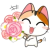 Funny Cats 27