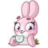 Bunny Rosy 27