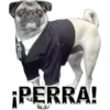 MIKE
¡PERRA!