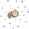 Hedgehogs 1 30