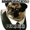 MUY GRACIOS@
MIKE
PENDEJ@