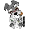 SCHNAUZER 15