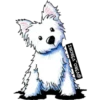SCHNAUZER 16
