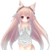 Meow 26