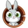Boo the Bunny 2 16