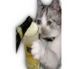 Quédate en casa 27