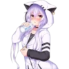 Meow 29