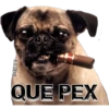 MIKE
QUE PEX