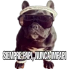 Perritos con frases 5
